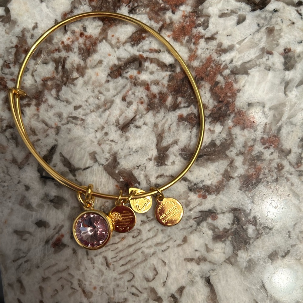 Alex and Ani June Birthstone Charm Bangle